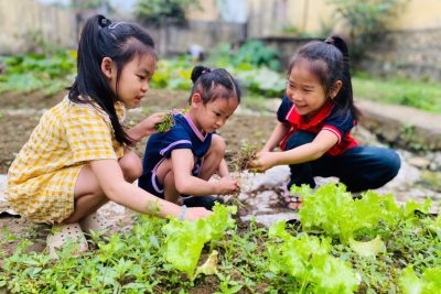 🌈 [HOẠT ĐỘNG CUỐI TUẦN] 🌈