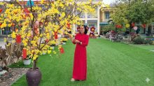 Tổ chuyên môn mẫu giáo